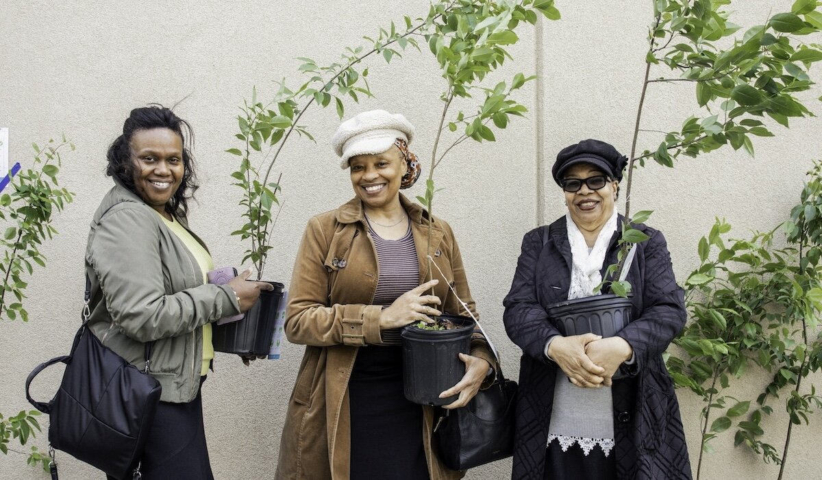 people holding trees in pots