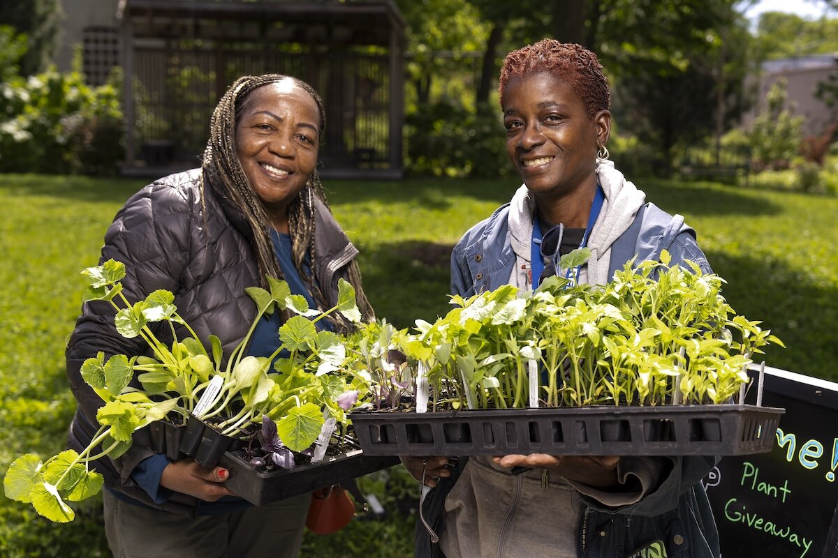 people holding plants
