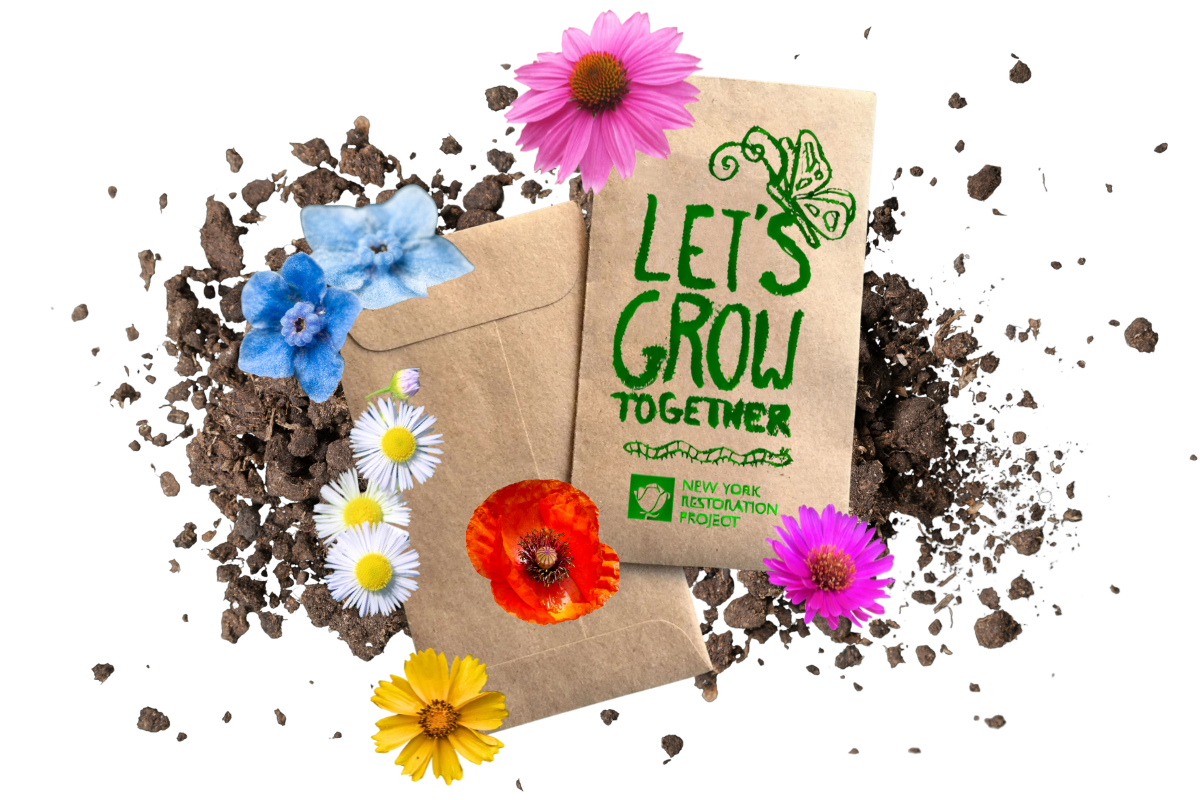 seed packet graphic