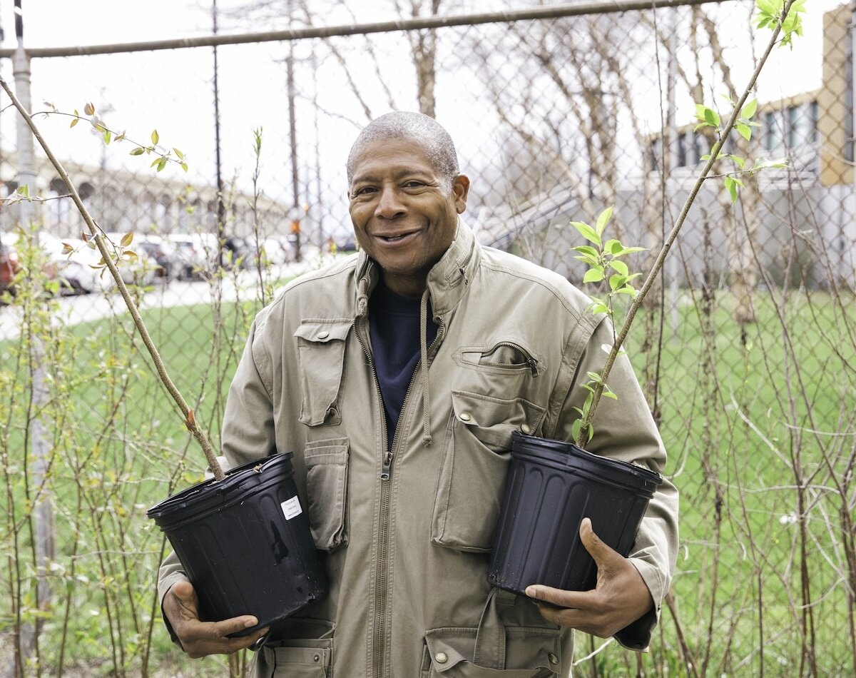 person holding trees