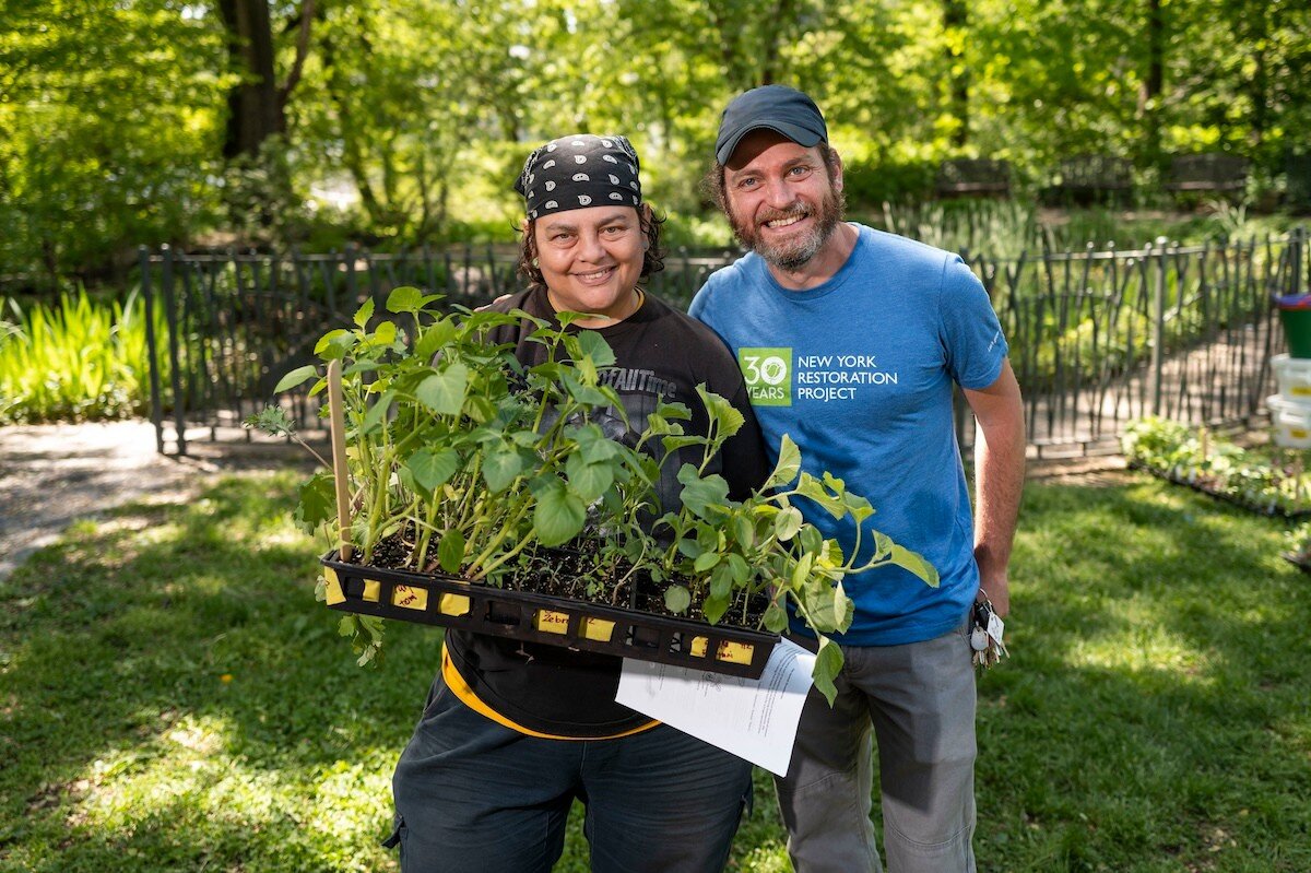 people holding plants