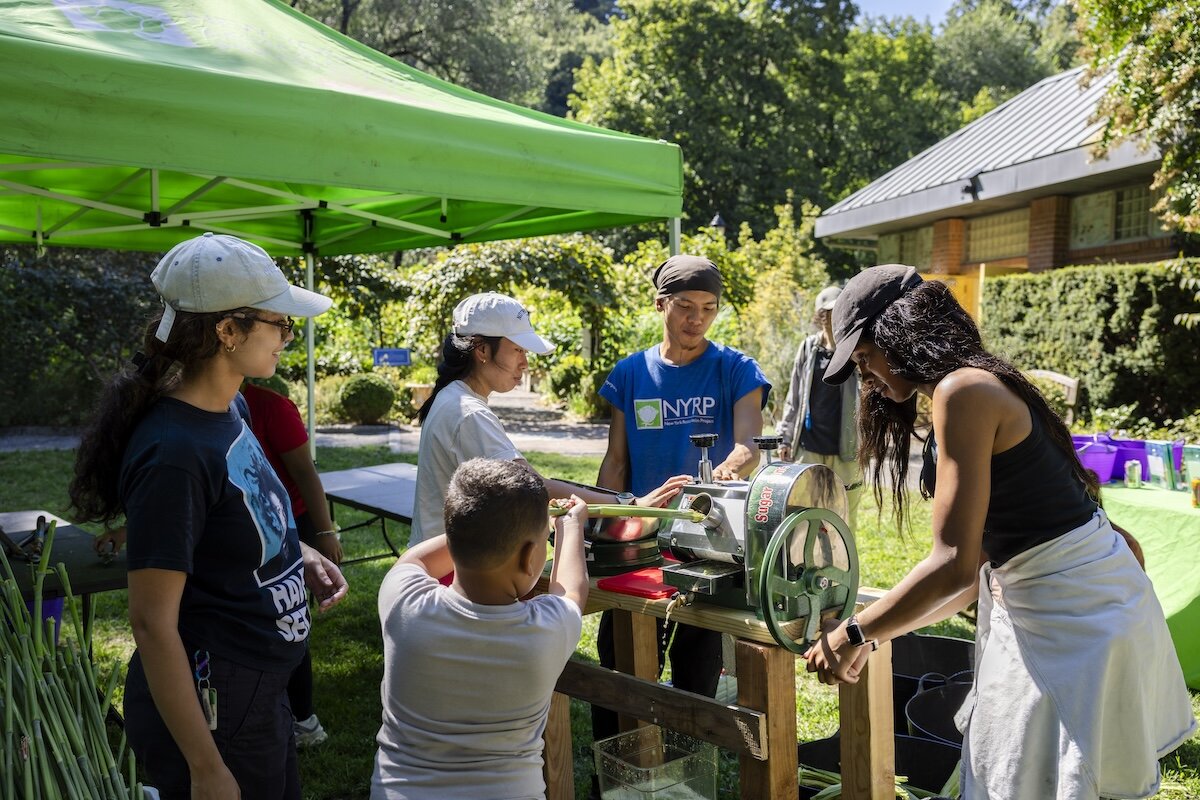 people learning in garden