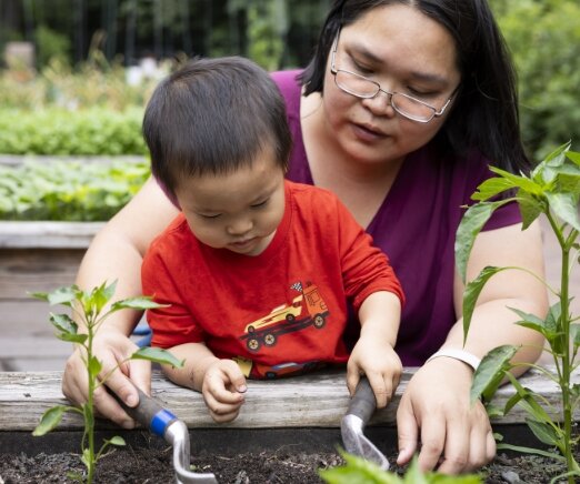Adult and child working together in a garden