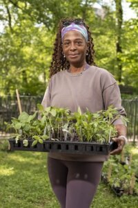 person holding seedlings