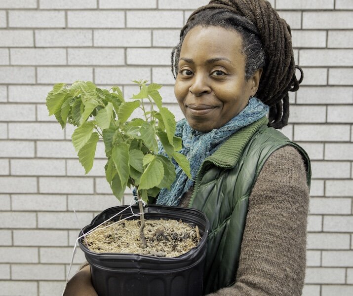 person holding tree