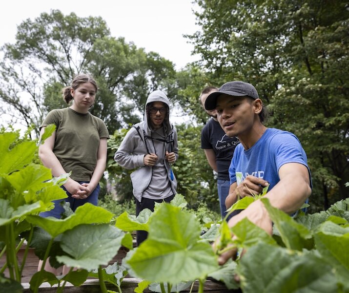 people in garden