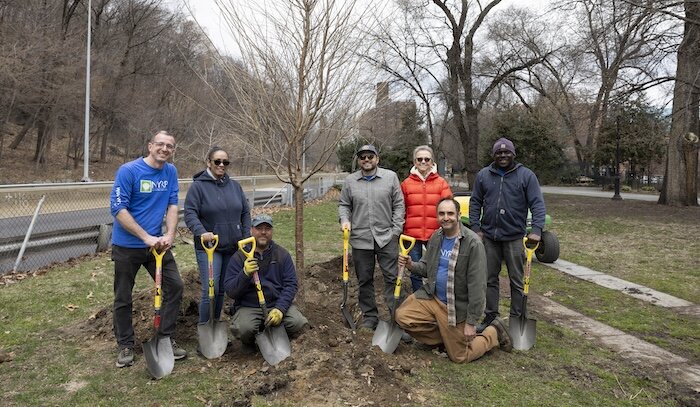 people planting tree