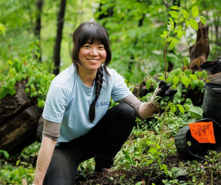 person planting tree