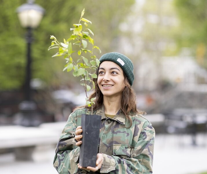 person holding tree